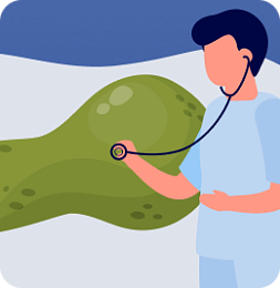 Особенности ведения пациентов  c желчнокаменной болезнью: клинический пример